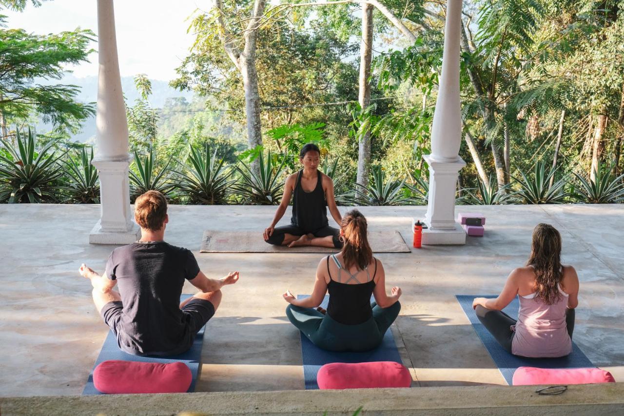 Welikande Yoga Retreats Hotell Digana Eksteriør bilde