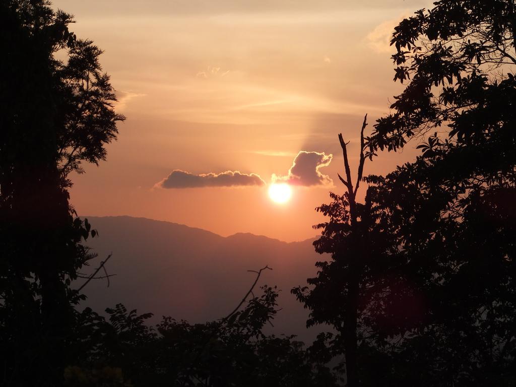 Welikande Yoga Retreats Hotell Digana Rom bilde